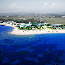 Flora Garden Beach (+16 Adults Only)